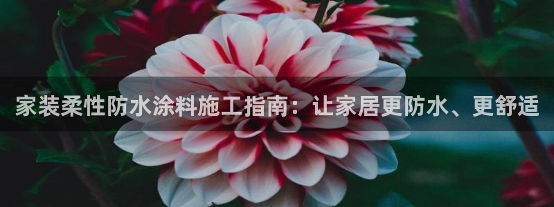 和记官方直营注册