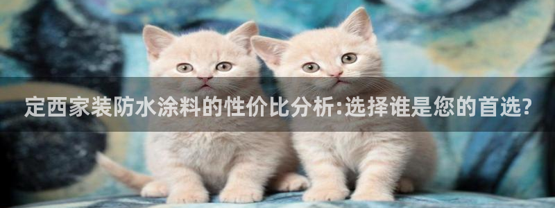 和记ag：定西家装防水涂料的性价比分析:选择谁是您的首选?