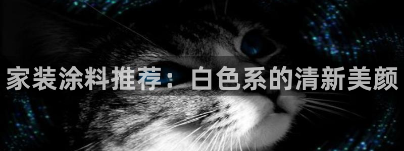 和记H88：家装涂料推荐：白色系的清新美颜