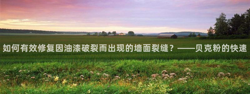 和记平台官方网：如何有效修复因油漆破裂而出现的墙面裂缝？——