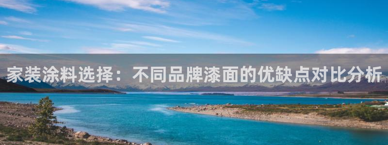 和记5g电讯：家装涂料选择：不同品牌漆面的优缺点对比分析