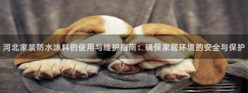 深圳和记科技有限公司