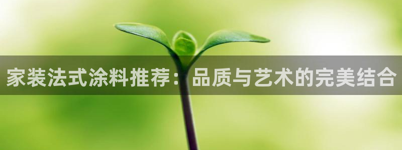 和记ag旗舰：家装法式涂料推荐：品质与艺术的完美结合