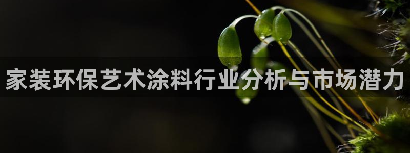官方和记国际平台登录：家装环保艺术涂料行业分析与市场潜力