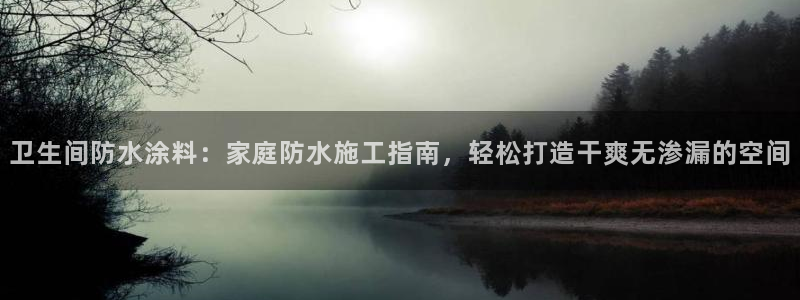 和记国际开户：卫生间防水涂料：家庭防水施工指南，轻松打造干爽