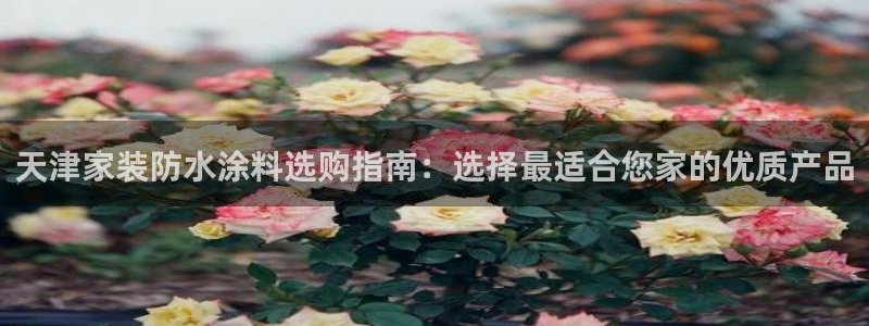 和记旗舰厅：天津家装防水涂料选购指南：选择最适合您家的优质产