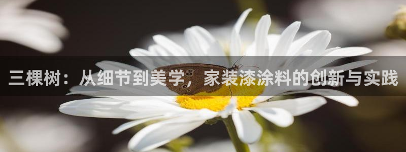 和记注册有什么送的