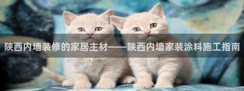 官方和记国际平台登录：陕西内墙装修的家居主材——陕西内墙家装