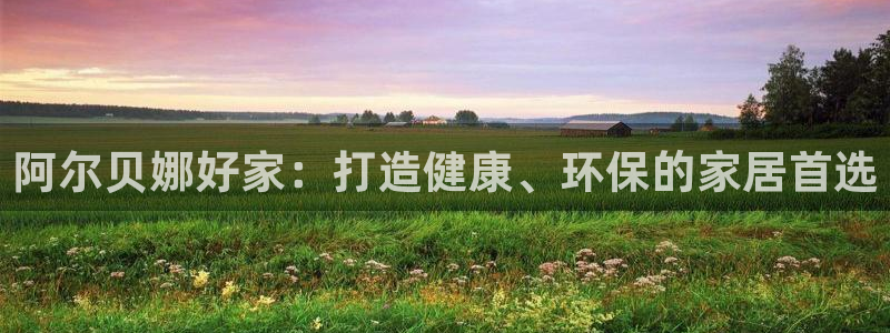 和记电业集团