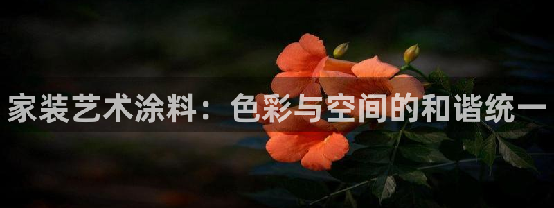 和记平台下载：家装艺术涂料：色彩与空间的和谐统一