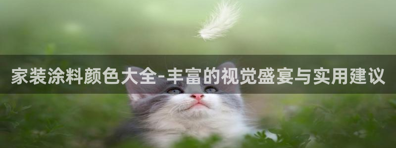 和记ag