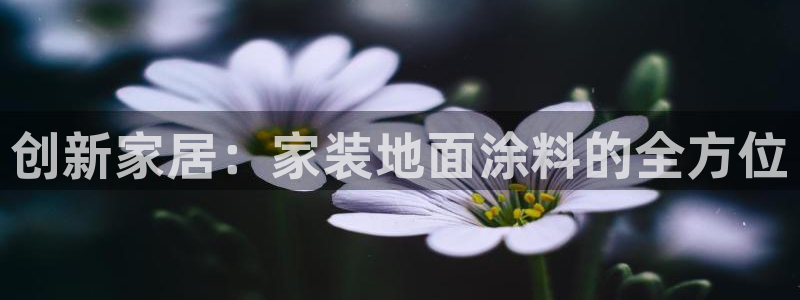 和记官方直营注册：创新家居：家装地面涂料的全方位