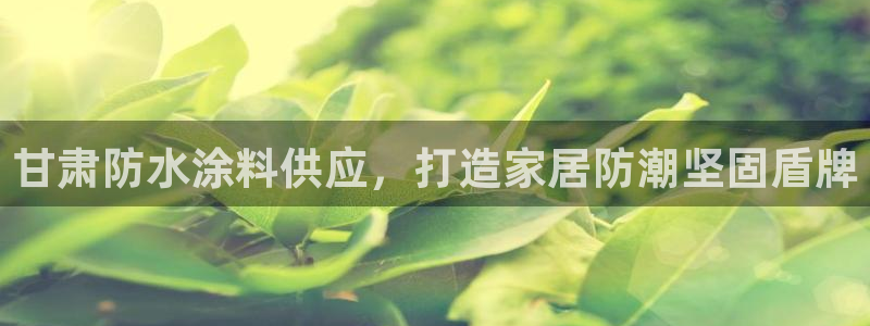 和记国际开户网站：甘肃防水涂料供应，打造家居防潮坚固盾牌