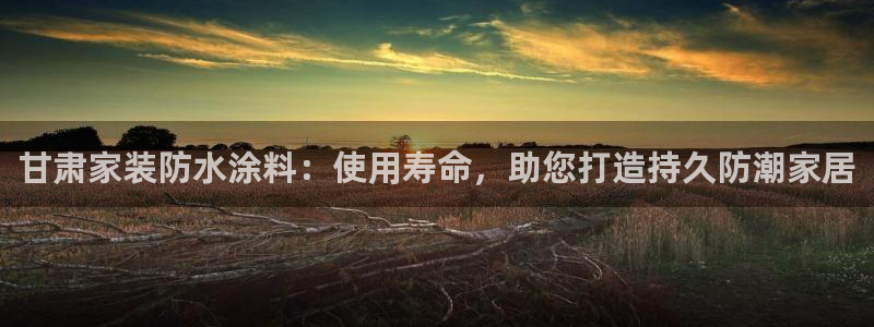 江苏和记餐饮有限公司：甘肃家装防水涂料：使用寿命，助您打造持久防潮家居