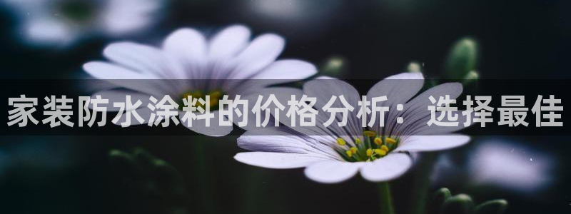 和记国际电讯市值