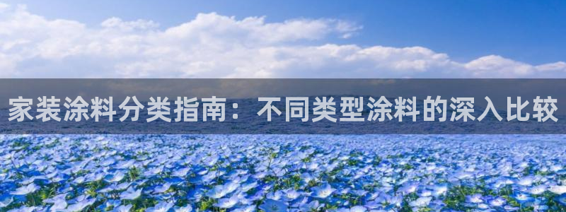 和记国际客服：家装涂料分类指南：不同类型涂料的深入比较