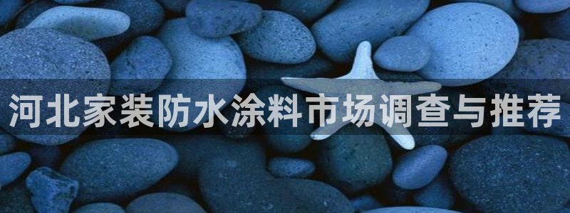 和记 中国首页：河北家装防水涂料市场调查与推荐