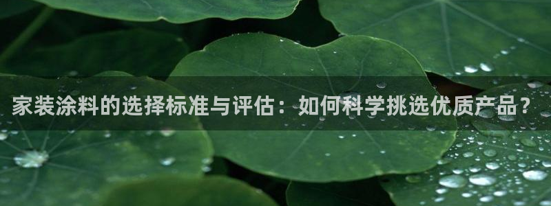 和记国际官网官网：家装涂料的选择标准与评估：如何科学挑选优质产品？