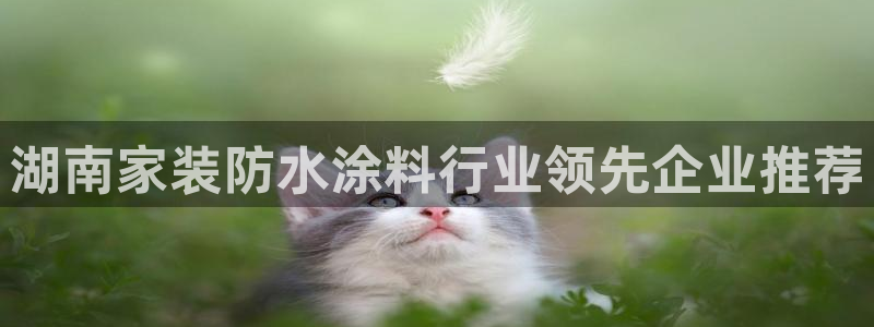 和记paging