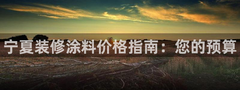 和记下载：宁夏装修涂料价格指南：您的预算