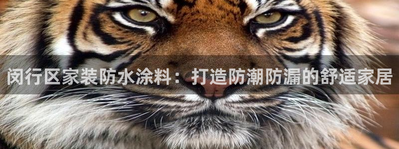 和记h88最新客户端下载：闵行区家装防水涂料：打造防潮防漏的舒适家居