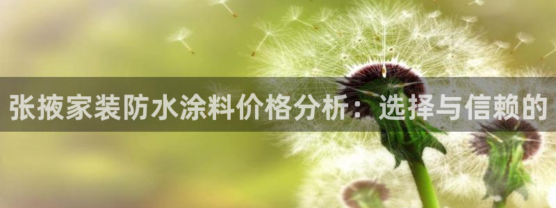 和记平台官网：张掖家装防水涂料价格分析：选择与信赖的