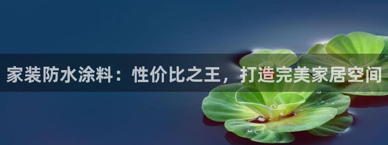 和记最新官方网址：家装防水涂料：性价比之王，打造完美家居空间