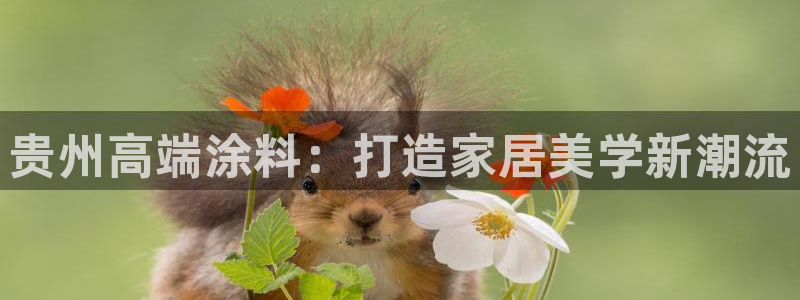 和记AG网站：贵州高端涂料：打造家居美学新潮流