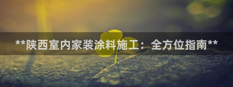 和记(福建)商贸有限公司：**陕西室内家装涂料施工：全方位指南**