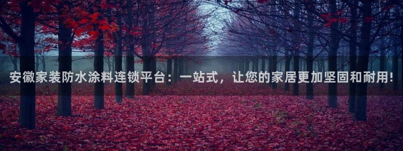 和记h88最新客户端下载：安徽家装防水涂料连锁平台：一站式，让您的家居更加坚固和耐用!