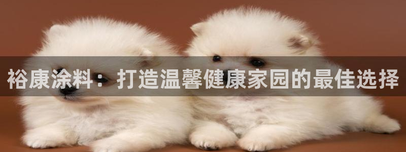 和记2017app：裕康涂料：打造温馨健康家园的最佳选择