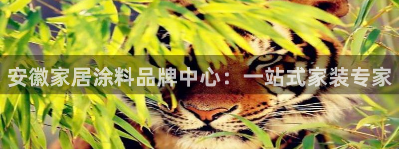 和记5g电讯：安徽家居涂料品牌中心：一站式家装专家