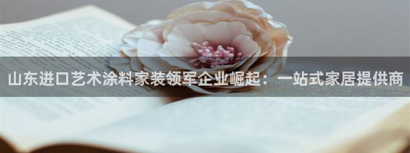 江苏和记数码科技有限公司：山东进口艺术涂料家装领军企业崛起：一站式家居提供商