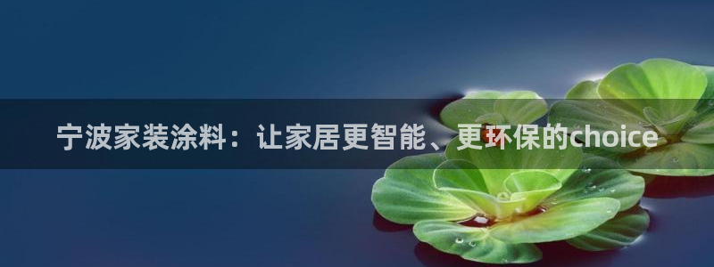 和记官方：宁波家装涂料：让家居更智能、更环保的choice