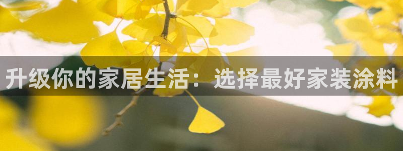 和记国际客服：升级你的家居生活：选择最好家装涂料