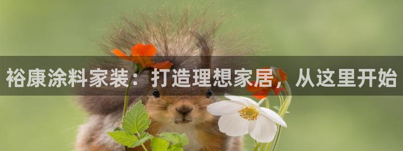 和记官网[中国]官方网站：裕康涂料家装：打造理想家居，从这里