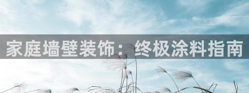 和记国际听：家庭墙壁装饰：终极涂料指南