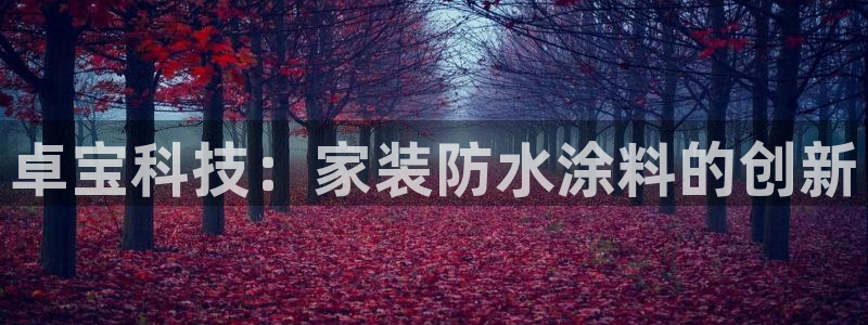 ag和记app：卓宝科技：家装防水涂料的创新