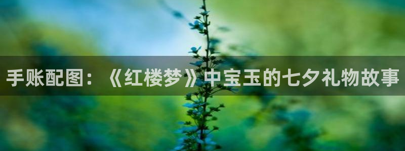 17k小说app官网：手账配图：《红楼梦》中宝玉的七夕礼物故事