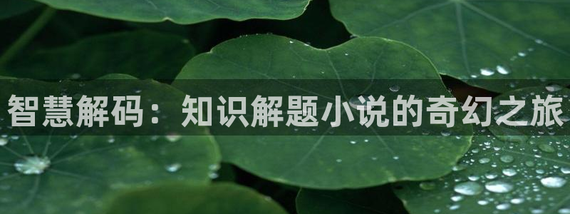 17k小说网创作中心：智慧解码：知识解题小说的奇幻之旅